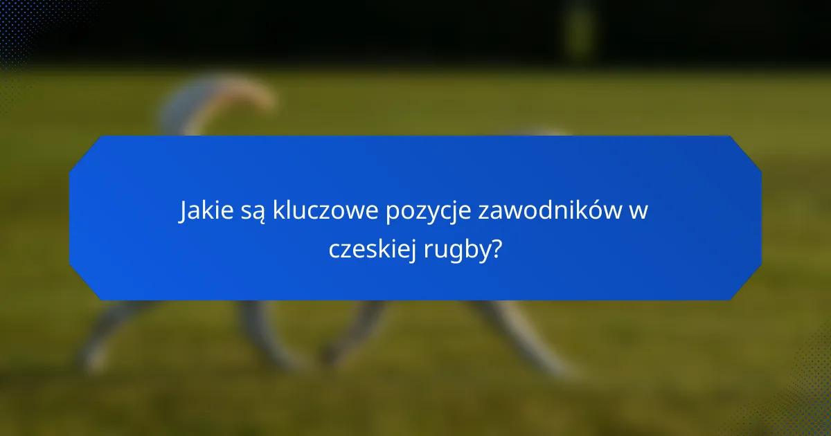 Jakie są kluczowe pozycje zawodników w czeskiej rugby?